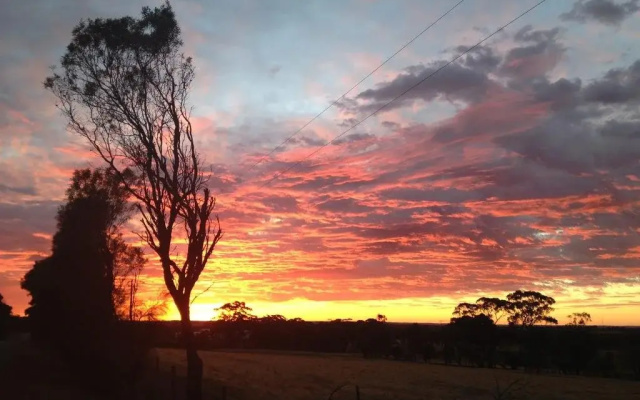 MowenSprings