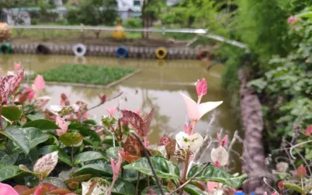 Yuyao Yijia Homestay (Yuyao Siming Lake Scenic Area)