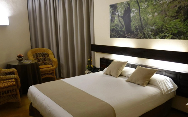 Hotel Baztán
