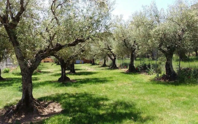 Campamento Los Tres Picos de La Vera