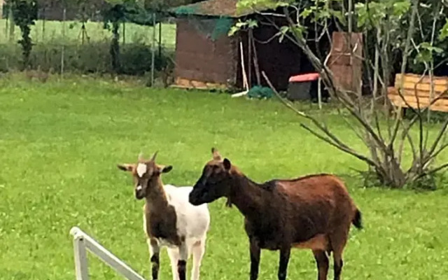 B&b parco delle sequoie