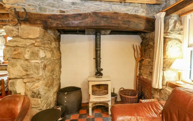 Penfeidr Newydd
