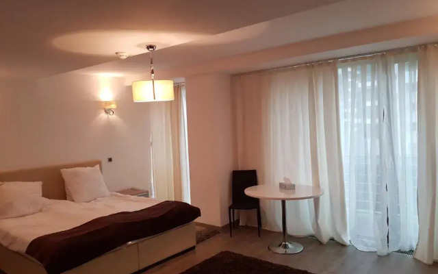 Silver Poiana Brasov Ap 41