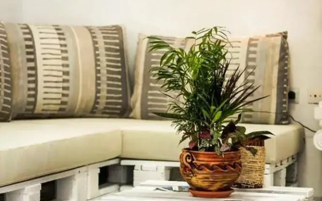 Athina Lounge Appartments
