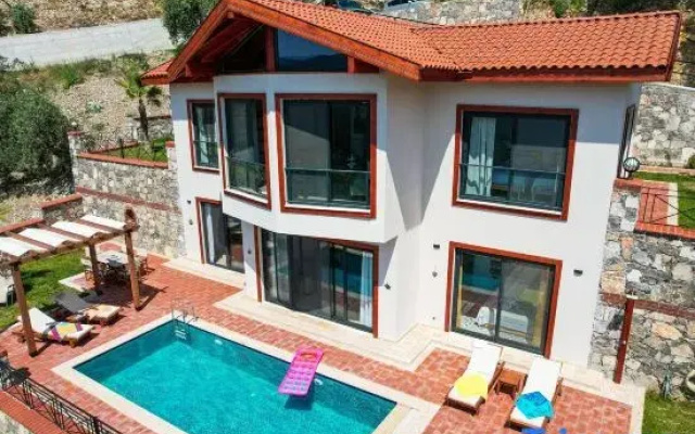 Olive Vista