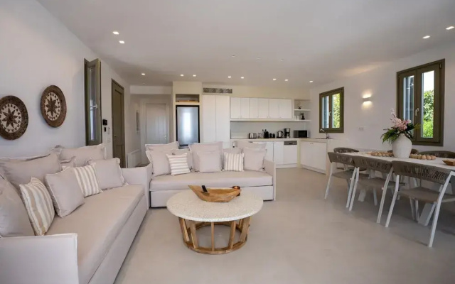 Luxury Paradise Villa Iliad In Paros