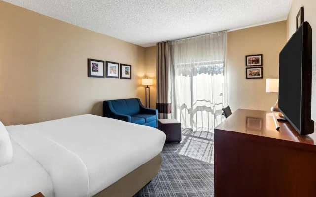Comfort Inn Roswell-Dunwoody