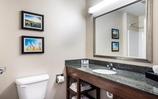 Comfort Inn Bonner Springs Kansas City