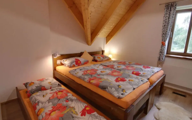 Apartment U Krále Kořenov
