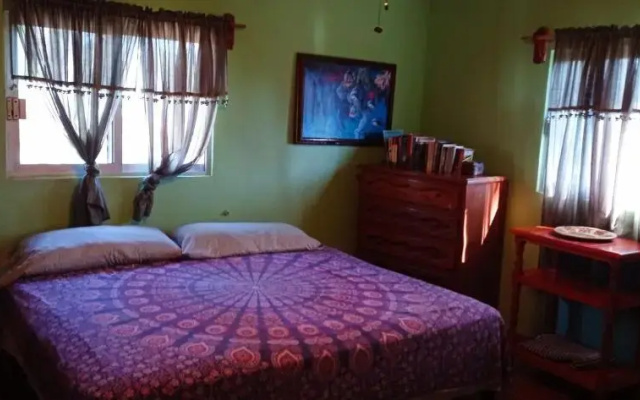 Iguana Loca Hostel