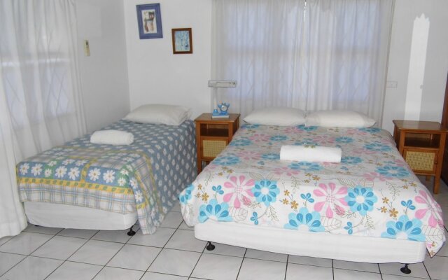 Island Accommodation Suva in Viti Levu, Fiji from 96$, photos, reviews - zenhotels.com guestroom