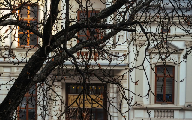 City Center Studio - Historic District