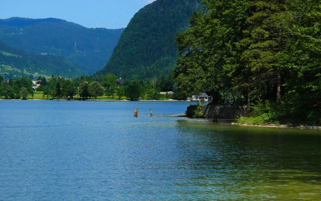 Lovely Apartment in Bohinjska Bistrica with Barbecue