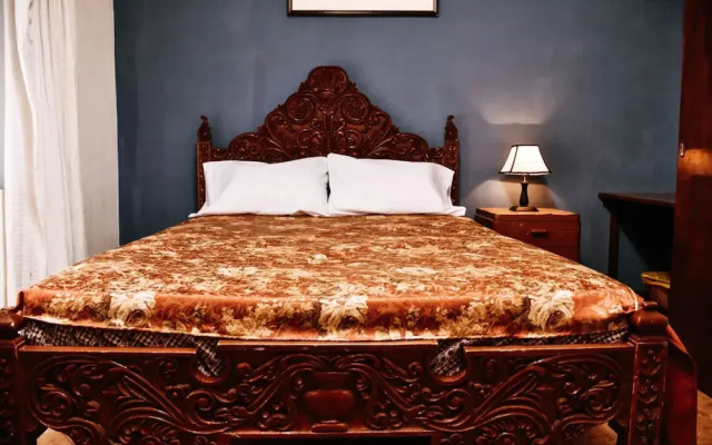 Elegant Art House - Historical Center