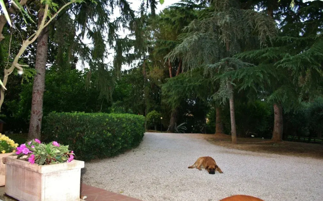 Green Oasis B&B