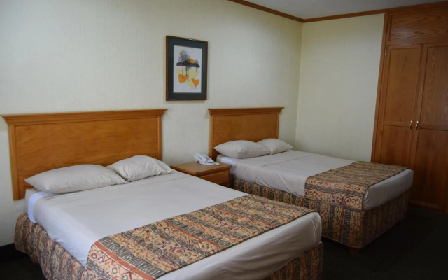 Hotel Sicomoro