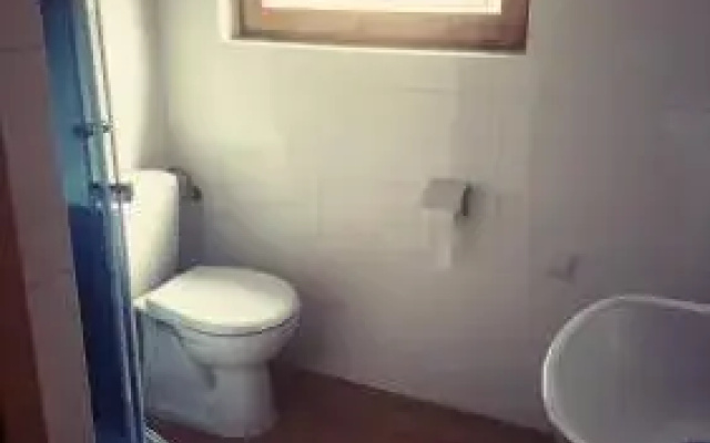 Wodnik