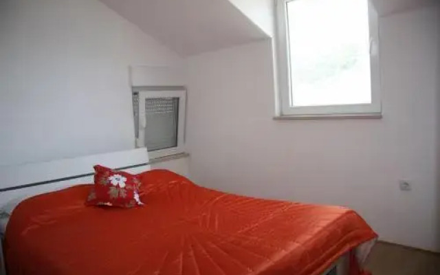 Apartment Branka