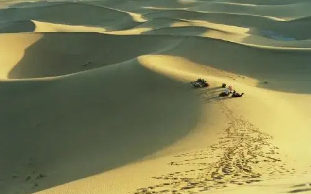 Bivouac Maroc Désert Zagora