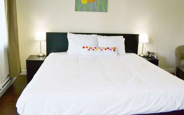 Vow Motel Listowel On