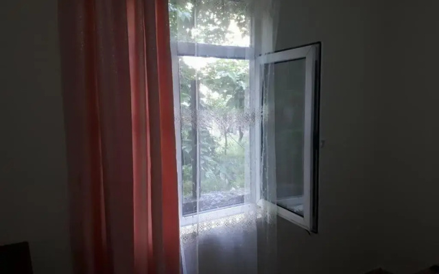 Guesthouse in Batumi