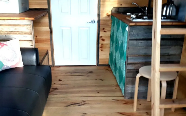 Big Tiny Dale View Tiny House