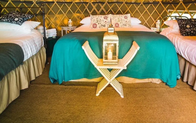 Pine - Shep Hut -Glamping