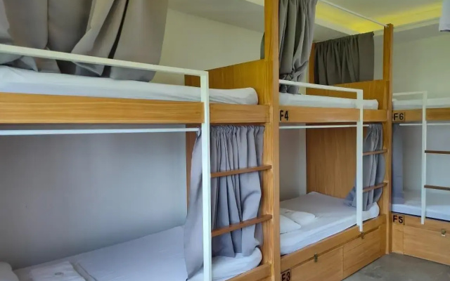 Red Picnic Hostel