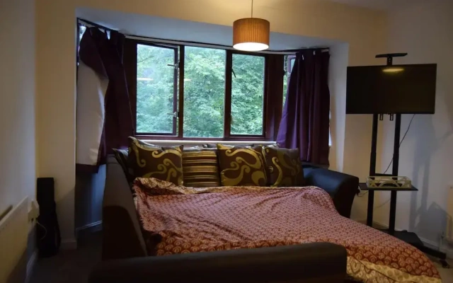 1-bed Apartment in Croydon -free Parking, Wifi
