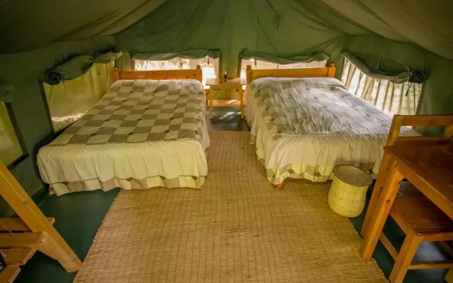 Bushara Island Camp