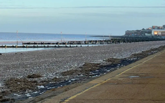 Gone To the Beach Flat 1