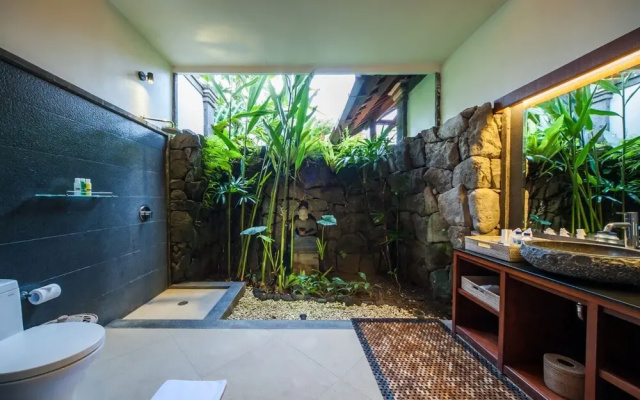 Infinity Jungle View Aashaya Villa Ubud
