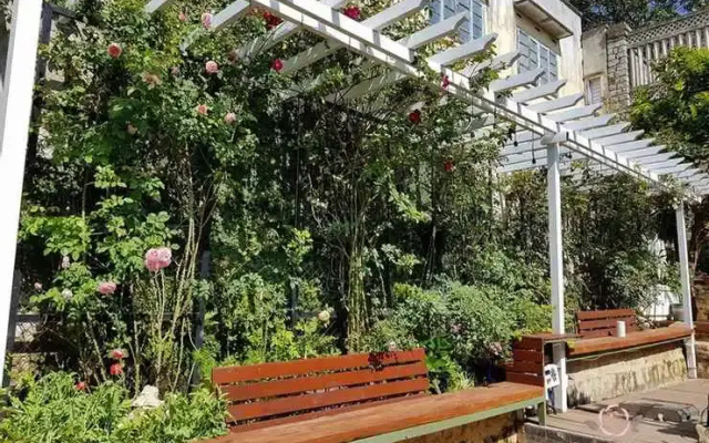 Six Six Garden - Rose Koi Homestay Dalat