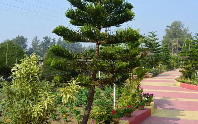 Sunview Resort