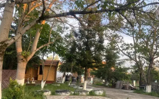 kopitnari
