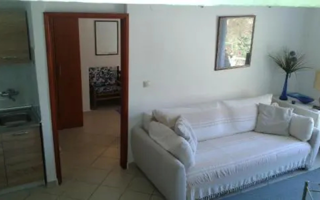Apartment Čučak