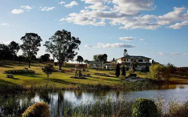 Willow Tree Estate
