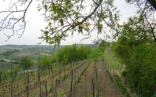 Casa Forster Langhe