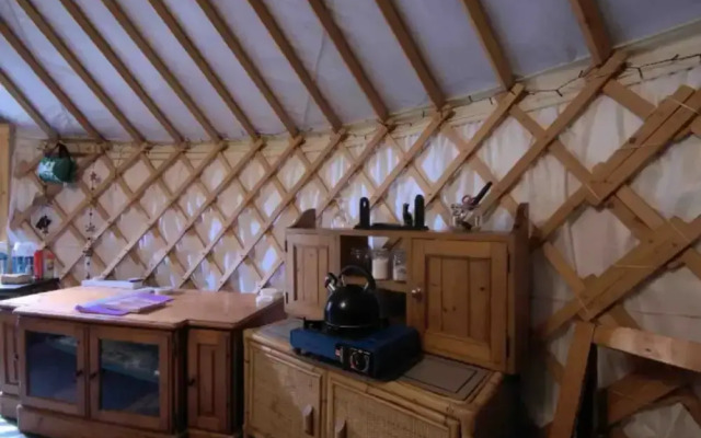 Ancient Woodland Retreat