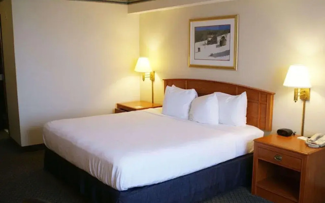 Country Inn & Suites by Radisson, Lansing, MI