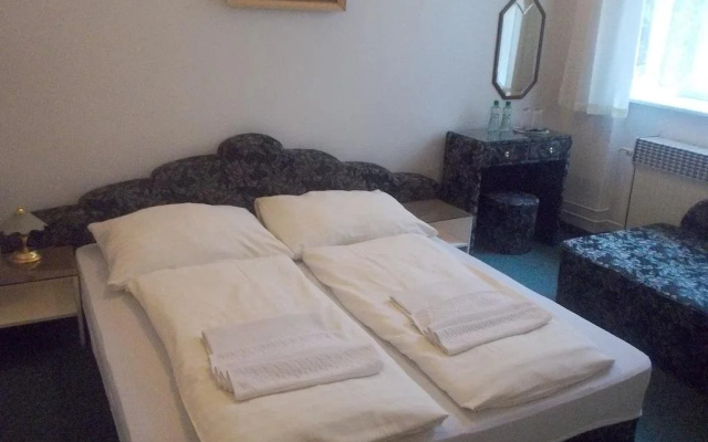 Hotel U Hroznu