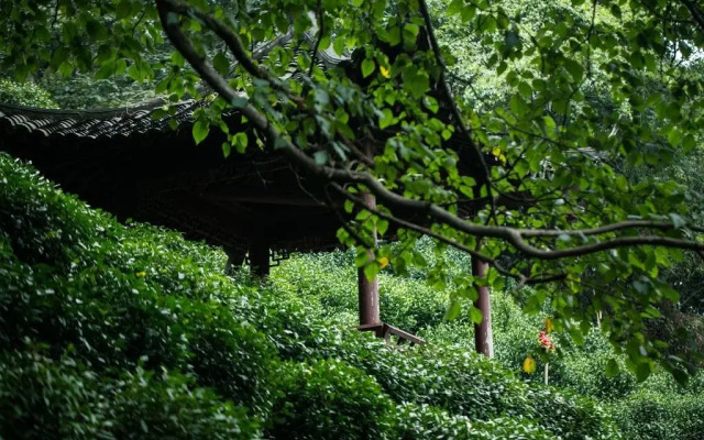 Yinzhu Guest House