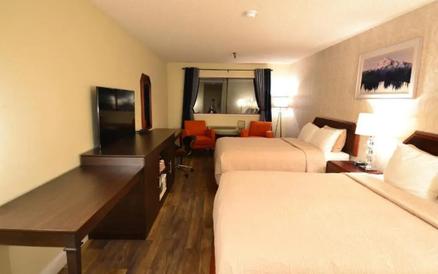 Hotel International