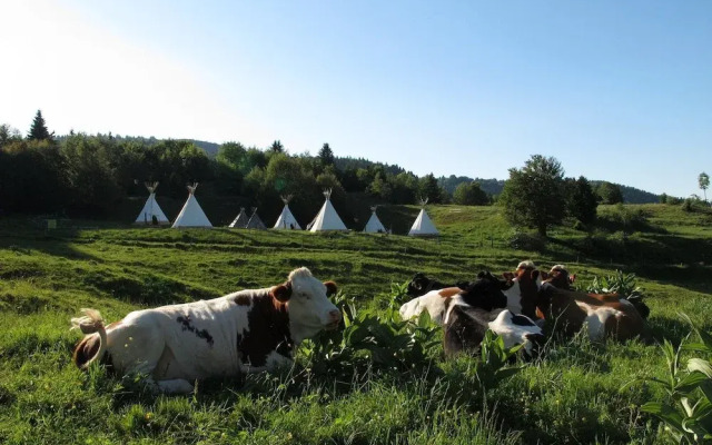 Village Tipi