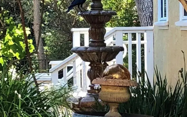 Glen Ellen Inn