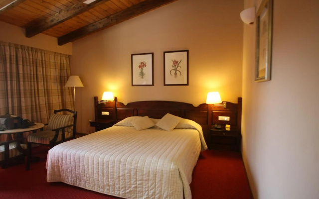 Hotel Spa Montana