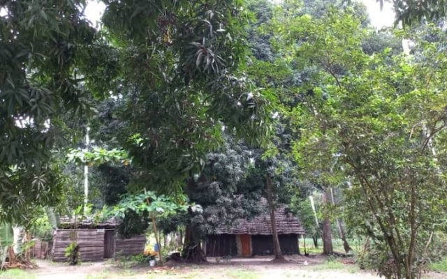 Kv Jungle Bungalows