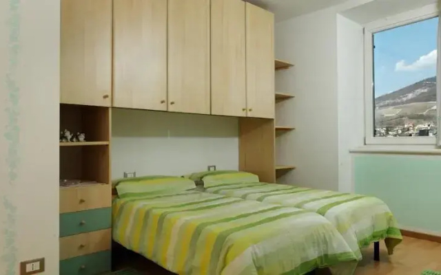 B&B Edera