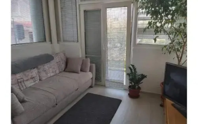 Apartments Branka