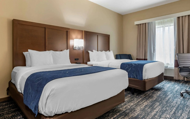Comfort Inn & Suites Downtown near University